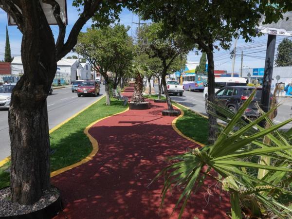 Paseo de Campeonas y Campeones honra el legado deportivo y transforma espacios públicos 