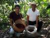 Precio mundial del caf&eacute; impacta positivamente al mercado poblano