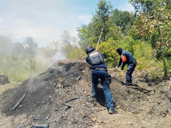 Inhabilita SSP hornos para la deshidratación ilegal de madera