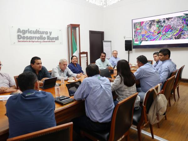 Gobierno estatal consolida acciones sanitarias para incrementar productividad de la caña de azúcar