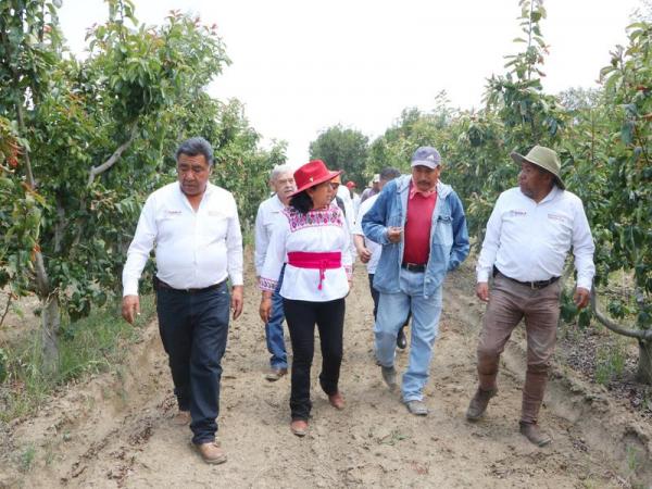SADR recorre parcelas frutícolas en la zona del Izta-Popo