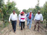 SADR recorre parcelas frut&iacute;colas en la zona del Izta-Popo