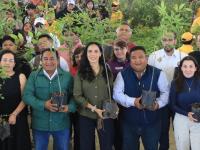 Cumple gobierno estatal meta de plantar un mill&oacute;n 790 mil &aacute;rboles