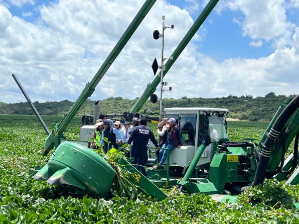 Puebla aplicará tecnología y maquinaria probada para retiro de lirio acuático en Valsequillo