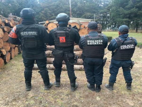Con Operativo Interestatal Puebla–Tlaxcala, se aseguran más de 70 troncos de madera