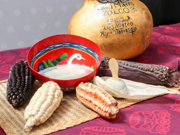 San Mateo Ozolco alista la Feria del Pulque 2026