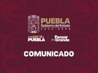 Bienestar Animal informa sobre caso del Pecar&iacute; atropellado