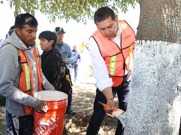 Con encalado, basado en criterios técnico-científicos, se protege arbolado urbano