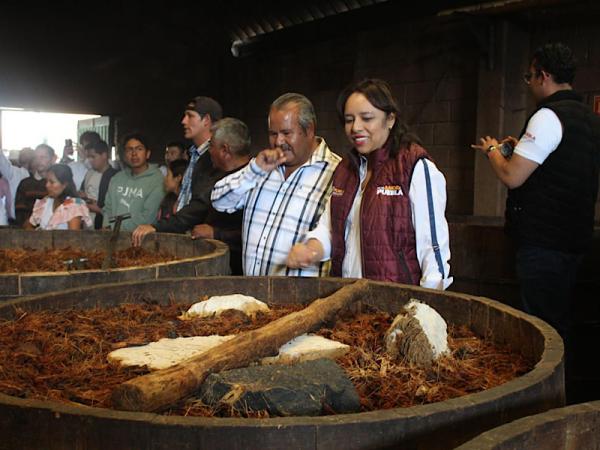 Impulsa SECIHTI innovación con origen mediante CITRAS Territoriales