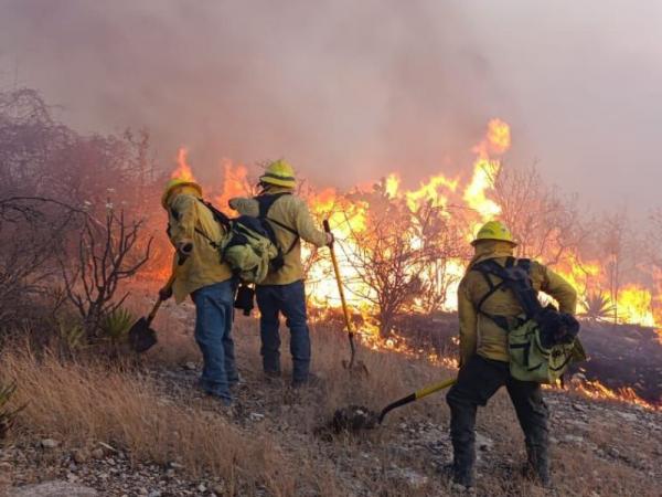 En sinergia, trabaja PC Estatal para sofocar incendio forestal en Tehuacán