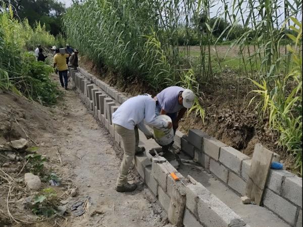 Obra Comunitaria contribuye a mejorar cultivos en Altepexi