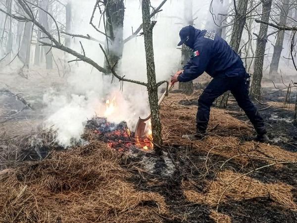 Policía Forestal y Bomberos sofocan tres incendios en Puebla capital