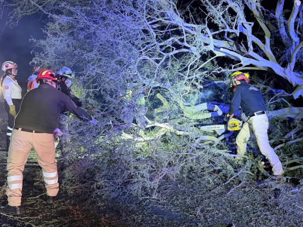 Personal de PC atiende daños por lluvias