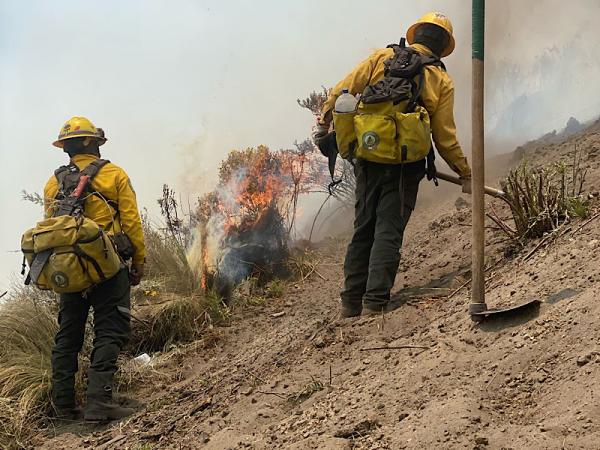 Continúa gobierno estatal trabajos de combate de incendios forestales