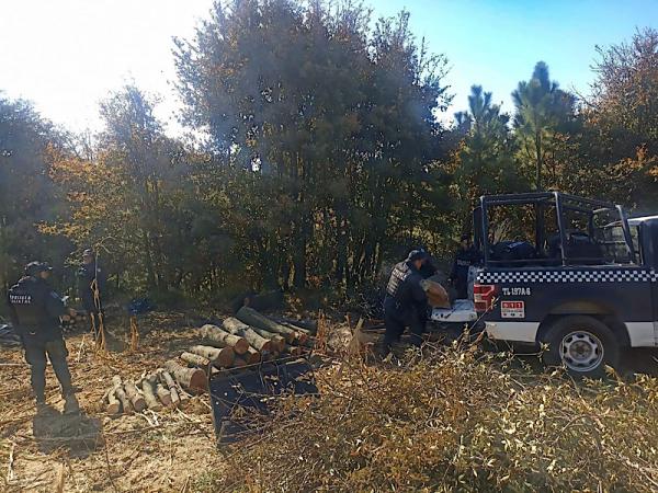 Primer decomiso de la Guardia y Policía Forestal en coordinación con Tlaxcala