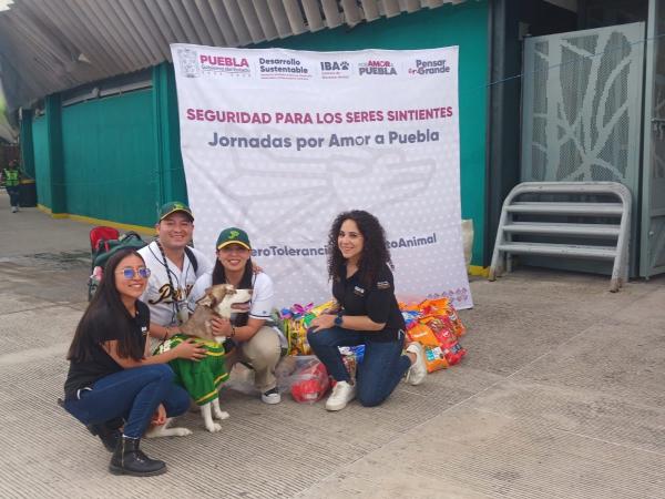 Instituto de Bienestar Animal participó en jornada &quot;Safe por la Salud&quot; de Pericos