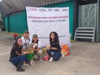 Instituto de Bienestar Animal particip&oacute; en jornada "Safe por la Salud" de Pericos