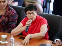 No se impedir&aacute; la circulaci&oacute;n de unidades particulares con placas for&aacute;neas: Silvia Tan&uacute;s