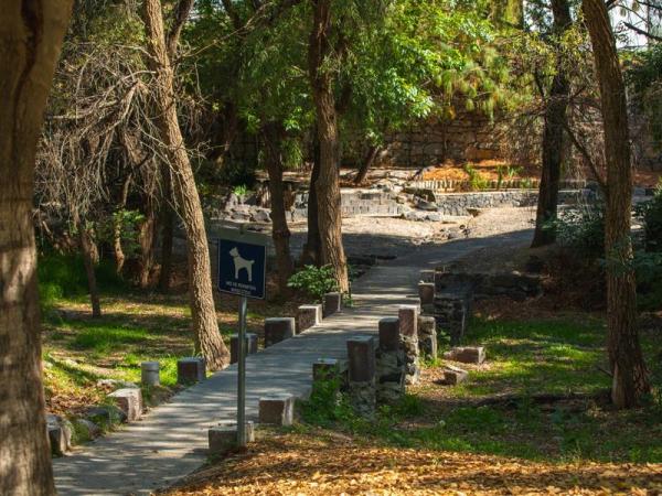 Convenciones y Parques realiza gestión integral del arbolado en Parque Metropolitano y Paseo del Río