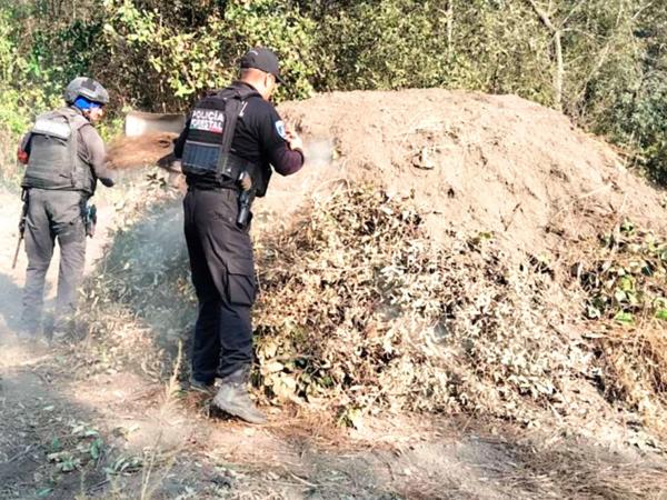 Elimina Policía Forestal seis hornos clandestinos para procesar madera