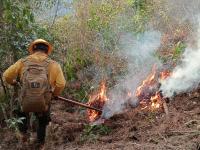 Puebla reduce al 50% da&ntilde;os por incendios forestales