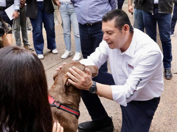 Bienestar animal es seguridad y conciencia para las y los poblanos: Alejandro Armenta