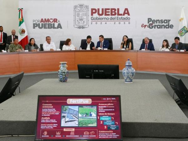 Inician pruebas para convertir lirio en mejorador de suelo agrícola