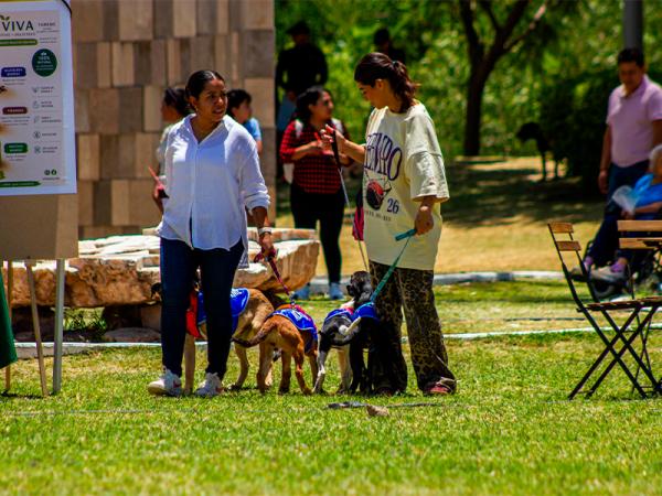 Gobierno del Estado fomenta el bienestar con segunda edición de Adopta Fest