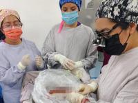 Puebla invita a la solidaridad en D&iacute;a Mundial de los Pacientes Trasplantados