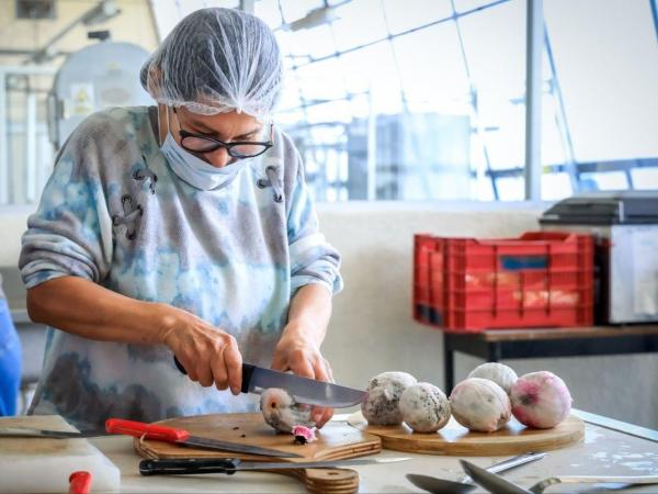 Impulsa UTTECAM valor agroalimentario con taller de pitahaya