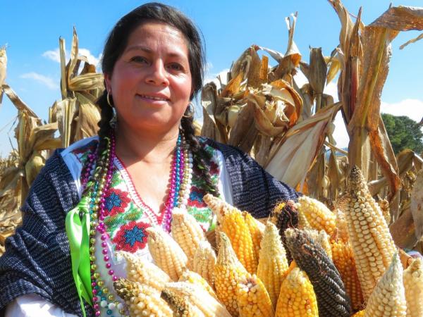 Convoca gobierno estatal a concurso fotográfico para reflejar riqueza natural y potencial turístico