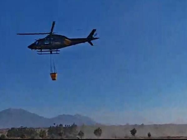 Incendio forestal en Oriental registra 90% de control y 60 de liquidación