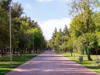 Convenciones y Parques impulsa desarrollo integral del ecoturismo en Puebla