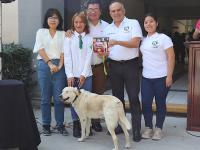 UTTECAM refuerza su compromiso con el bienestar animal Amistad y empat&iacute;a por los amigos de cuatro patas