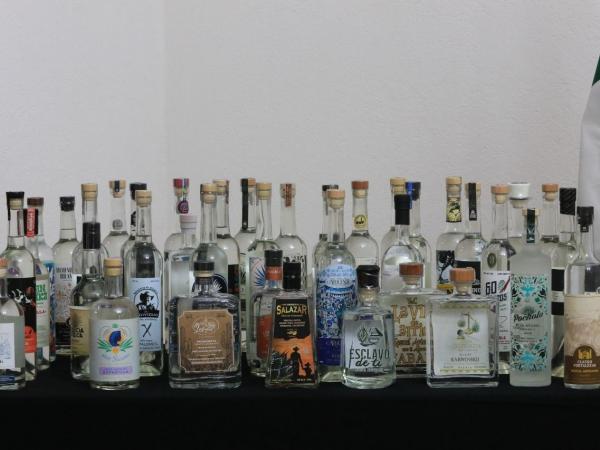 Con 91 medallas, Puebla se posiciona a nivel nacional como líder en marcas de mezcal