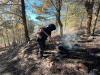 Fortalece Seguridad P&uacute;blica protecci&oacute;n y combate a delitos ambientales