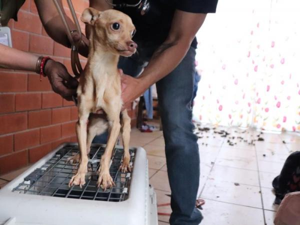 IBA colabora con FGE y SEMAR en primer cateo de seres sintientes