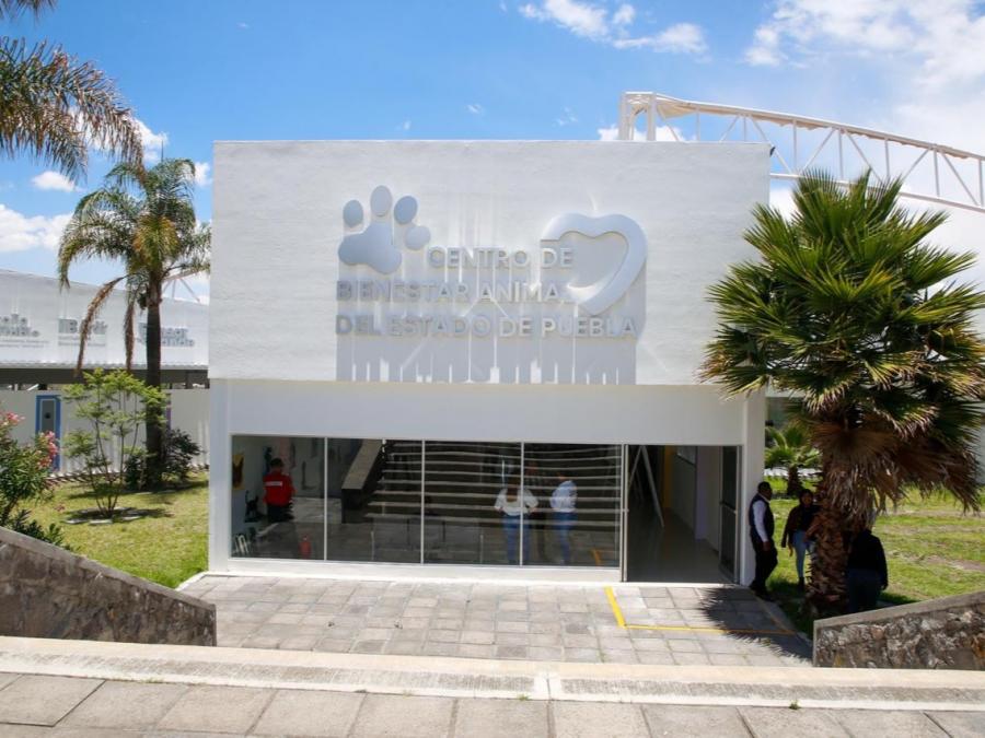 Centro de Bienestar Animal, ejemplo nacional de protección y cuidado a seres sintientes