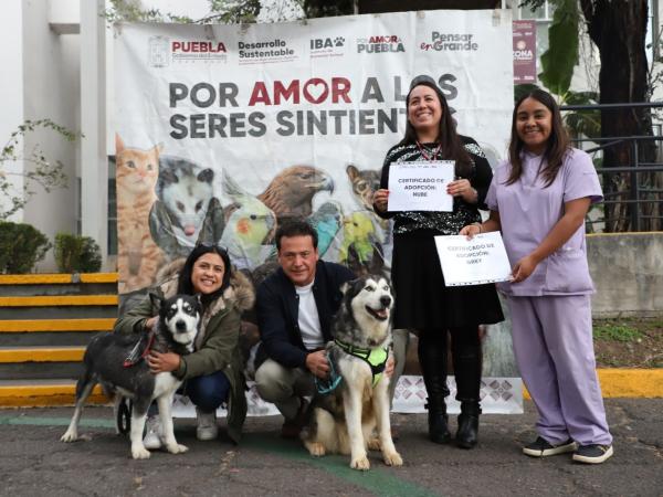 Gobierno del Estado impulsa campaña permanente “Adopta, No Compres”