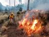 Mantiene Gobierno Estatal control de incendios forestales y protege ecosistemas