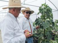 UTTecam fortalece la innovaci&oacute;n agr&iacute;cola a trav&eacute;s de su Campo Experimental