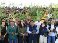 Con 1 mill&oacute;n 605 mil &aacute;rboles, Gobierno de Puebla nutre el bosque