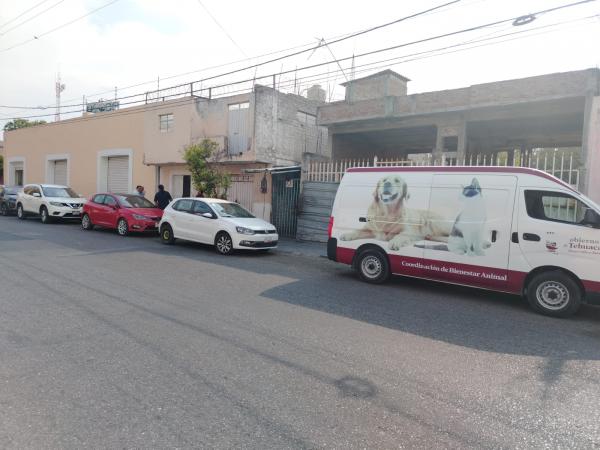 Rescate y atención de gatito encerrado en inmueble de Tehuacán