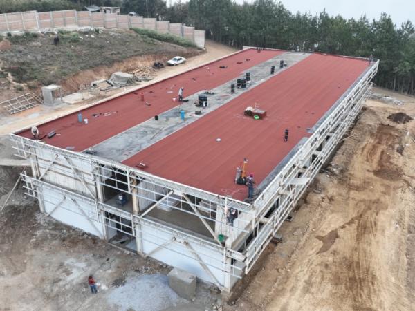 Impulsa gobierno estatal educación superior para profesionales de la salud en regiones