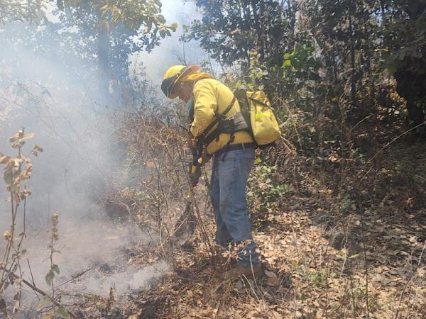 Con coordinación interinstitucional se combaten incendios; ya fueron sofocados 119