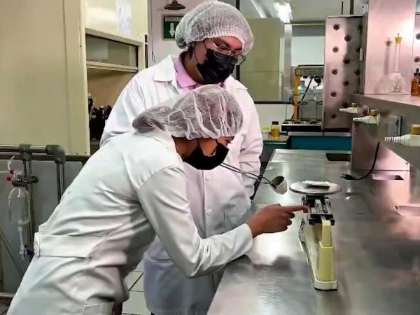 UTH y Coltlax realizan investigación del Maíz Azul Ancestral