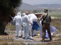 De la mano, Comisi&oacute;n de B&uacute;squeda y FGE trabajan en Palmar de Bravo