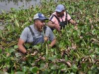 Inicia gobierno estatal saneamiento y reforestaci&oacute;n de Laguna de Chignahuapan