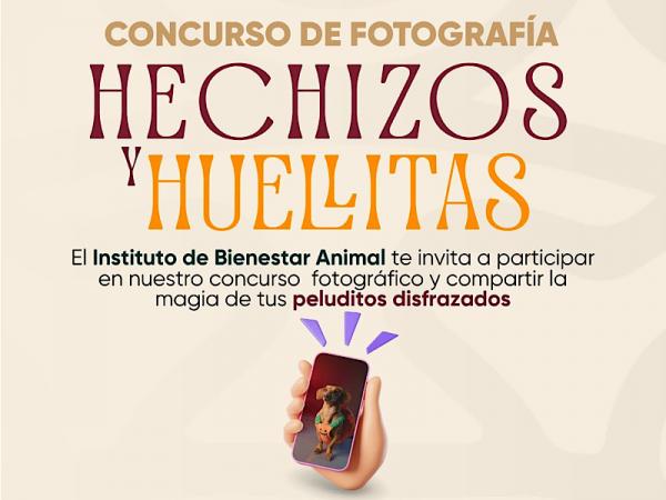 El Instituto de Bienestar Animal invita al concurso fotográfico “Hechizos y Huellitas”