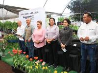 Inicia la temporada del Tulip&aacute;n Holand&eacute;s en Puebla